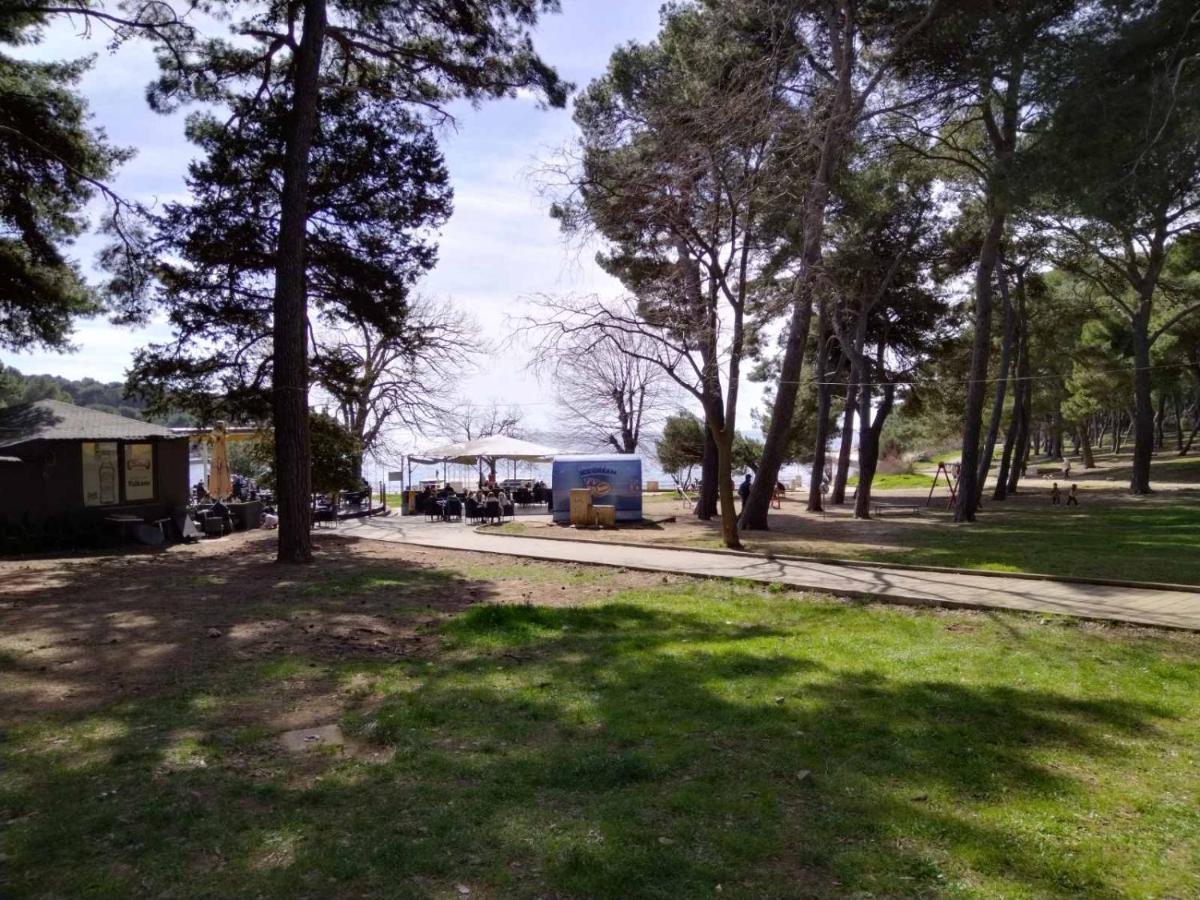 Apartament Lema