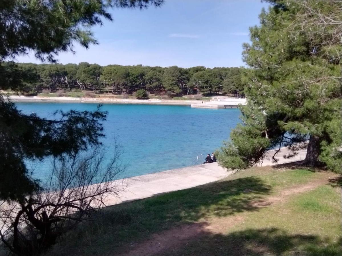 Apartament Lema